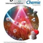 Cu電極上のCO2RR中間体のその場測定に関する論文のイメージが、Angew. Chem. Int. Ed.のInside Coverに選ばれました